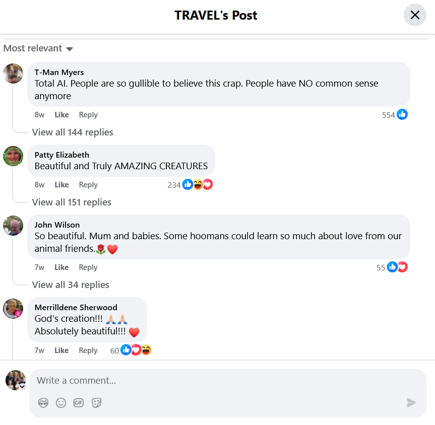 Facebook comment section under owl post